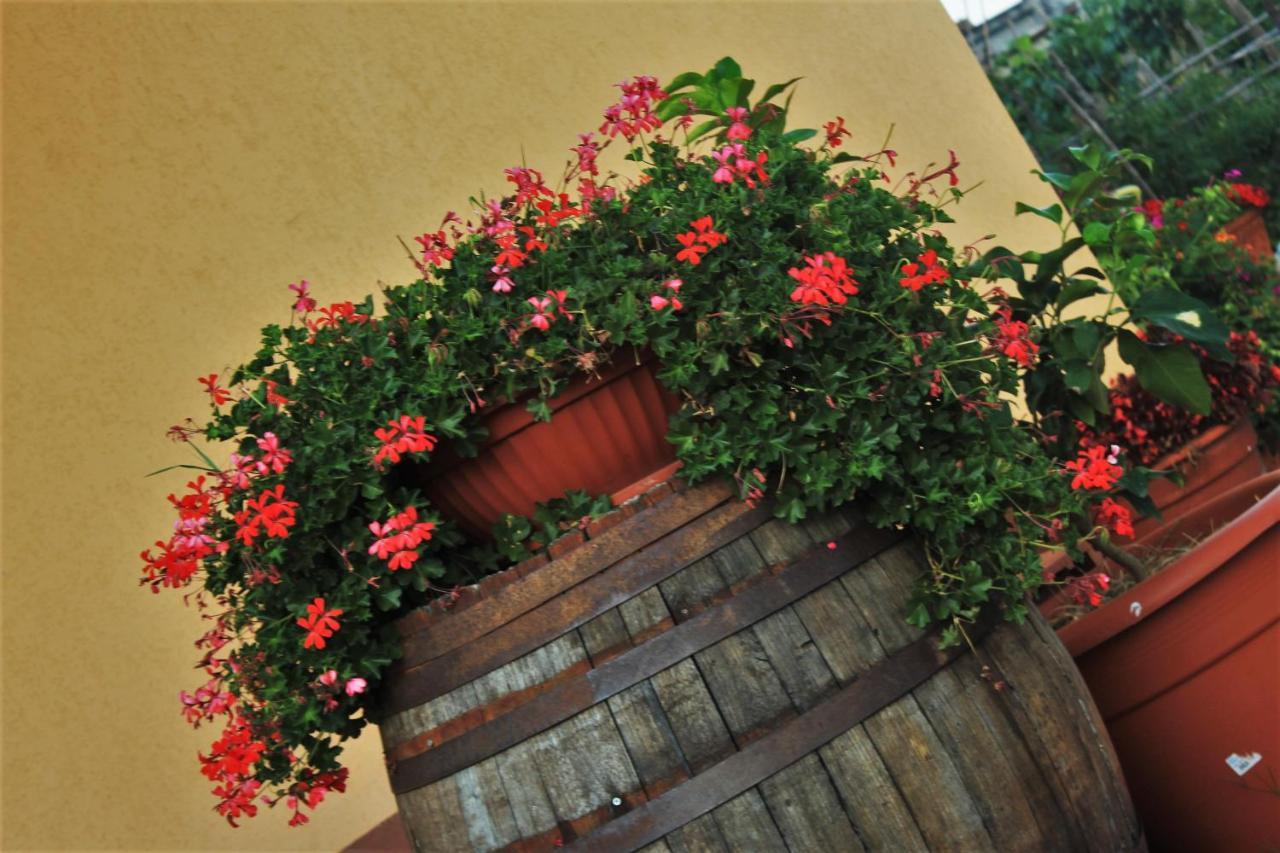 Bed and Breakfast Mansarda Fiorita Abatemarco Экстерьер фото
