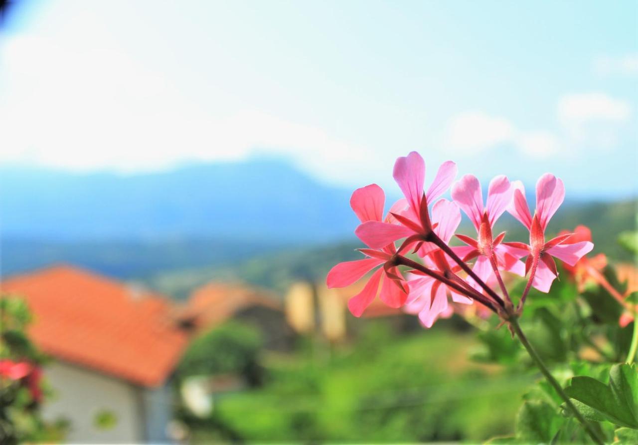 Bed and Breakfast Mansarda Fiorita Abatemarco Экстерьер фото